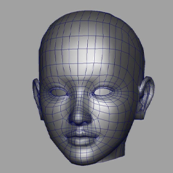 3D-CT精密诊断